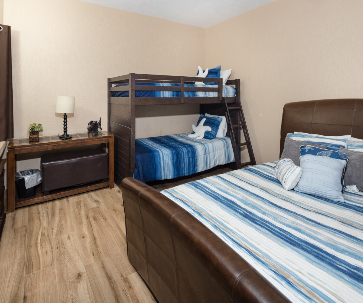 Sonoran Sun E 906 - Image 3