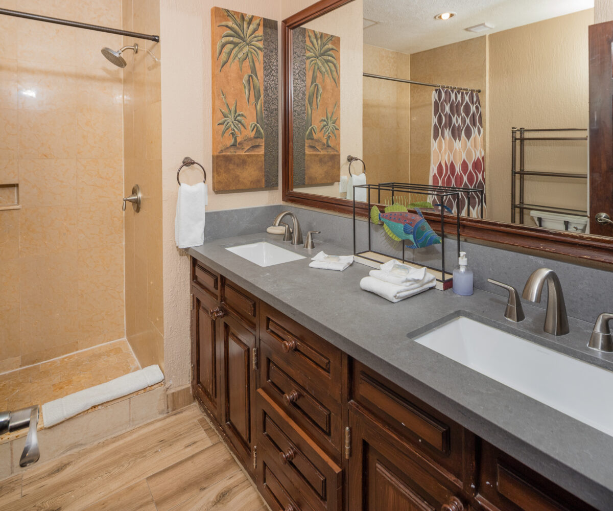 Sonoran Sun E 906 - Image 2