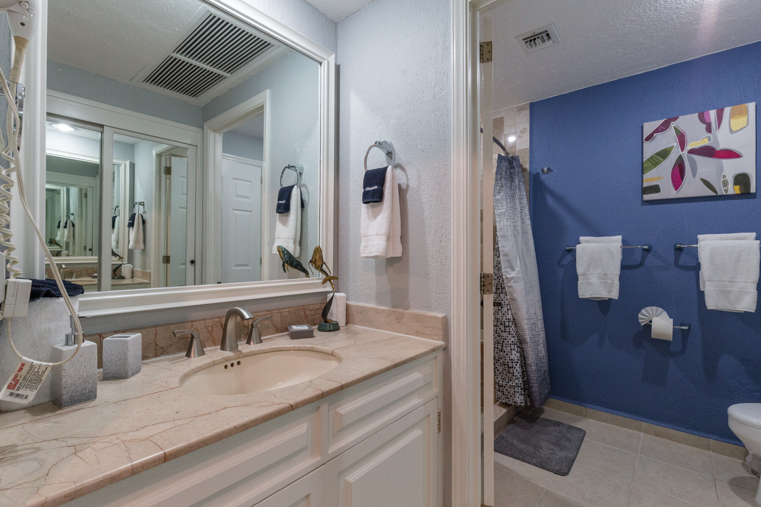 Sonoran Spa N 506 - Image 7