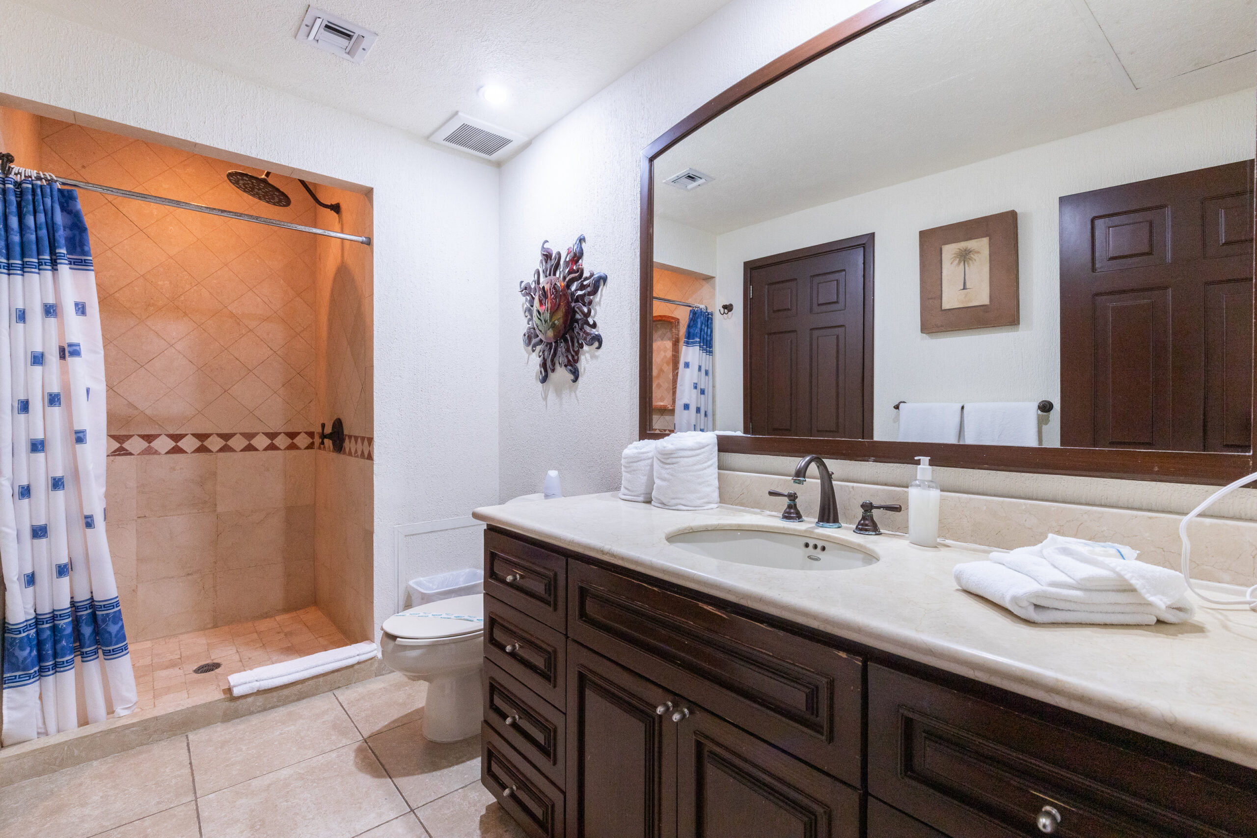 Sonoran Sky 1105 - Image 6