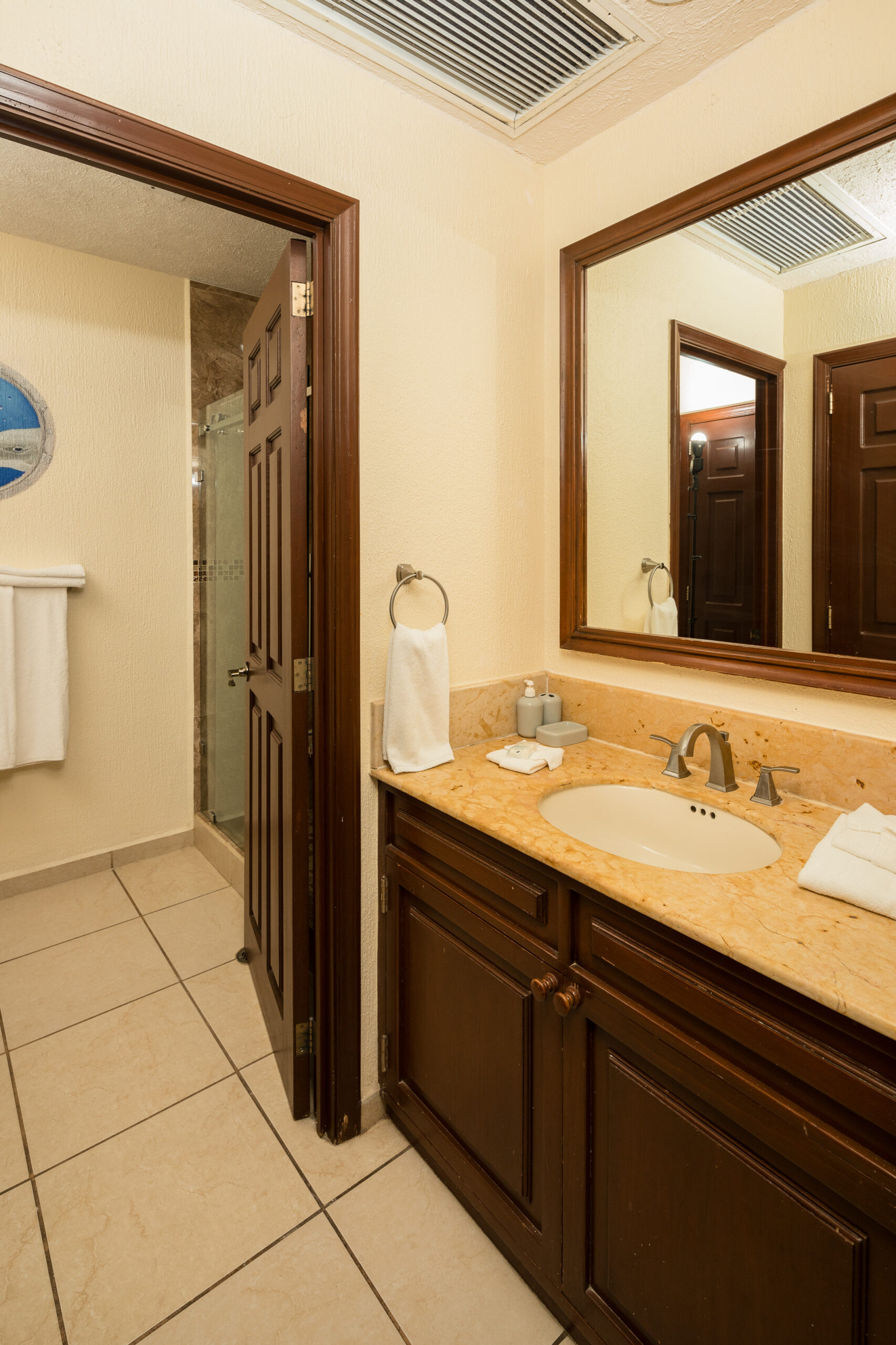 Sonoran Sun W 511 - Image 7