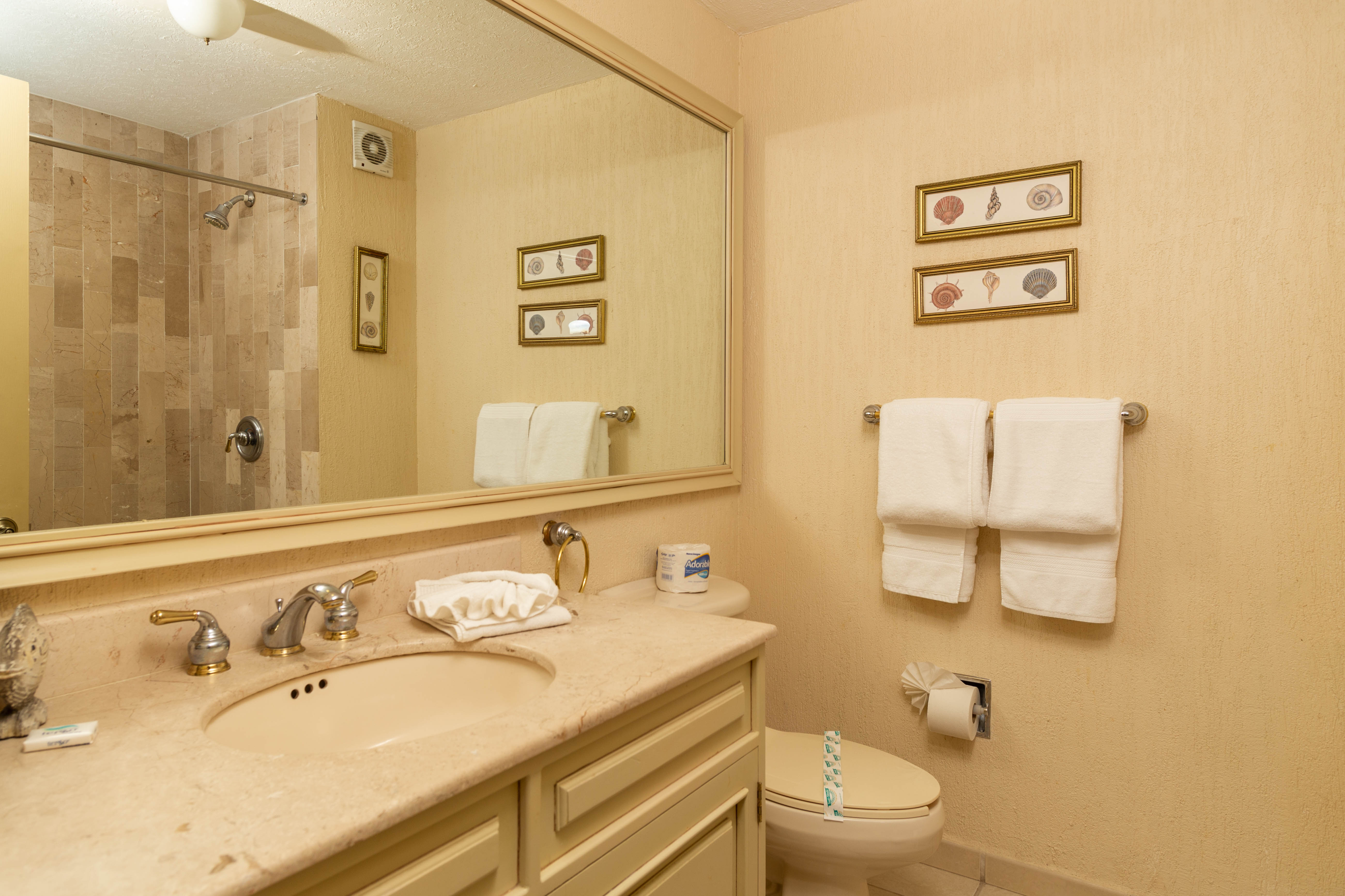 Sonoran Spa E 408 - Image 2