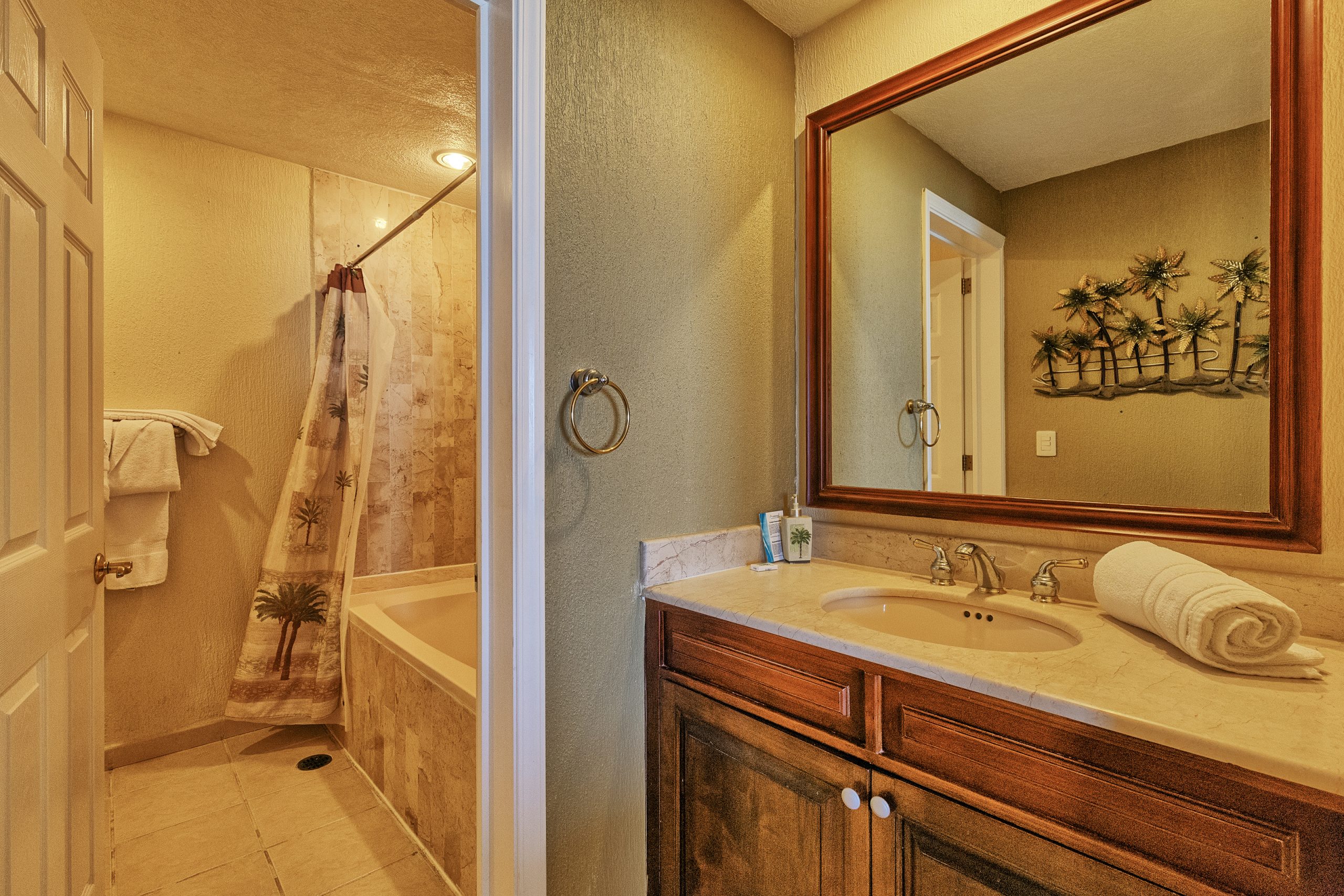 Sonoran Spa E 704 - Image 7